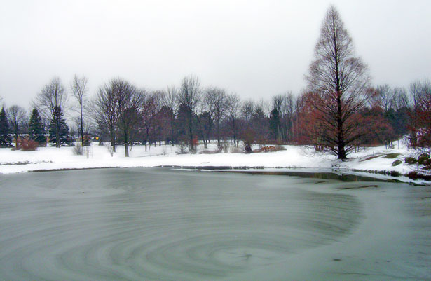 The Frozen Pond