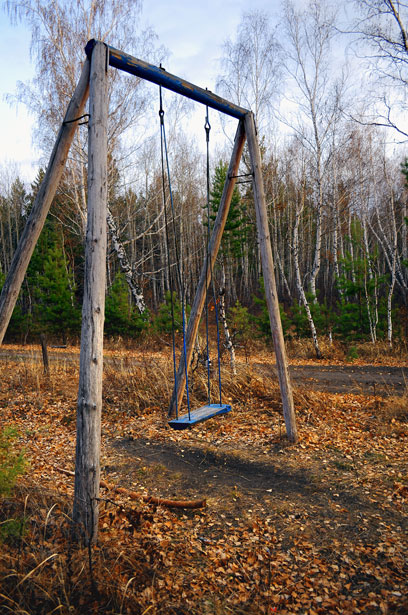 Swing In The Woods Free Stock Photo - Public Domain Pictures