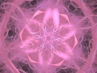 En rosa fraktal