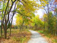 Hösten Path