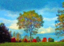 Őszi fák festmény