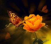 Achtergrond met bloem en vlinder