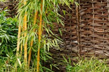 Bambus-Werk in Garten