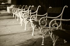 Benches in park