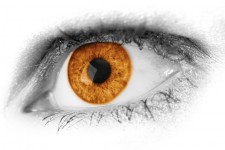 Szczegółowo brązowe oko