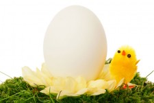 Dell'uovo e della gallina