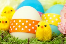 Pulcini e uova di Pasqua