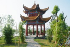 China Tingzi