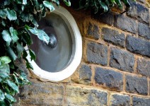 Circle window and ivy
