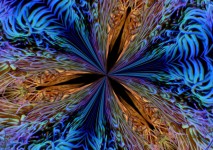 Coral Kaleidoskop