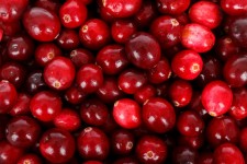 Fundo cranberries