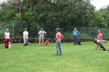 Dog Obedience Classe