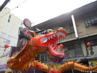 Dragon dans la ville