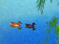 Patos en un estanque de pintura
