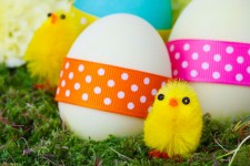 Velikonoční kuřata a vejce