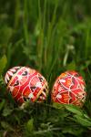 Easter eggs in het gras