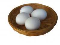 Os ovos em uma cesta