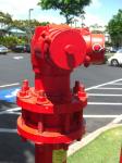 Fireplug (Fire Hydrant)
