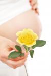 Květiny a těhotné břicho