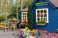 Flower bulb shop
