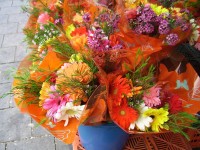 Blumen für den Verkauf