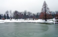 Bevroren vijver in Park