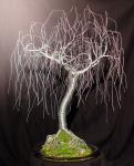 Gyengéd Willow vezeték fa