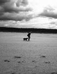 Girl walking dog on beach