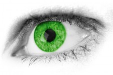 Grünes Auge Detail
