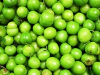 Groene pruimen