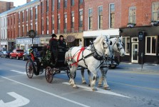Horse-Drawn Carriage Port Hope