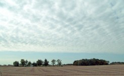 Indiana de campo e Nuvens