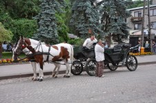 Kazimierska Cab
