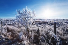 Landskap med rimfrost