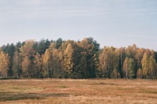 Pădurile Janowskie, Maliniec