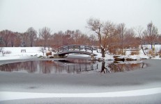 Monet Bridge In Snow-covered Park