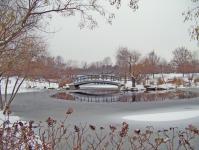 Monet Bridge in Snow-covered Park