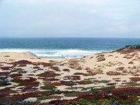 Monterey Plaża