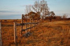Starého plotu v poli