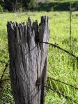 Vieux poteau de clôture