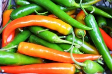 Orange och grön paprika Chili