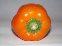 Oranje Bell Pepper (02)