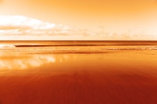 Pomarańczowy widokiem na morze