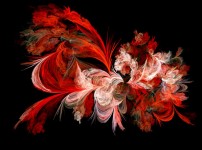 Vermelho e branco fractal