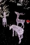 Reindeer christmas decorations