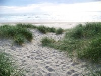 Písečné duny