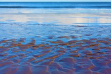 La texture du sable et la mer.