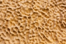 Sandstein Tapete