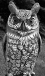Scare Owl