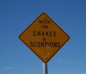 Serpents et scorpions